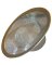 SS Mesh Kitch Strainer
