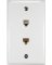 WHT RJ12/RJ45Wall Plate