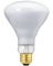 WP 65W BR30 FLD Bulb