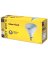 70926   WP Bulb 65WBR30 Refl 3PK