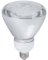 PA23SW  WP Lamp FLD 23W BR38 2P