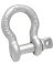 1/2" Scr Anchor Shackle