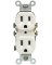 15A WHT DPLX Receptacle