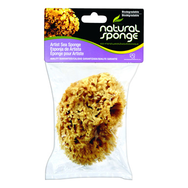 SPONGE NAT PAINT 4-5"