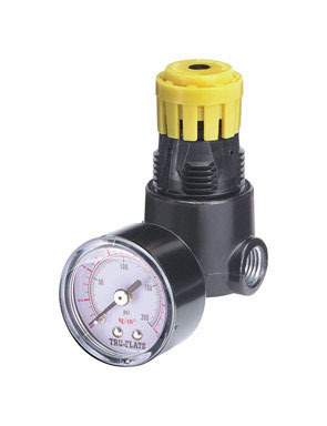 Mini Regulator W/gauge