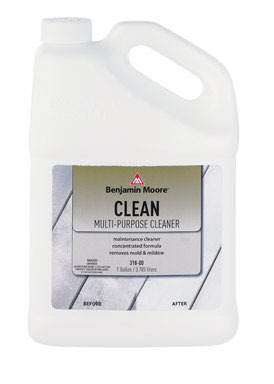 Bm Ext Stain Cleaner Gl