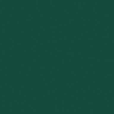 PAINT THICKET 2OZ