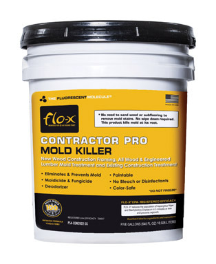 MOLD KILLER CONTRCTR 5GL