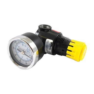 MNI REGULATW/GAGE 300PSI