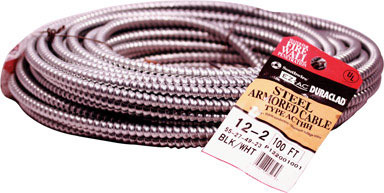 Cable Ac 12-2 Steel100'