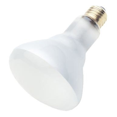 Bulb Br30 65w 6pk