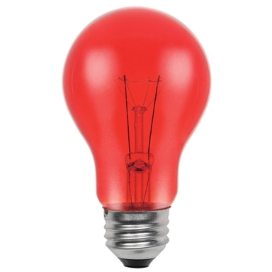 INCN A19 E26 RED 25W 1PK