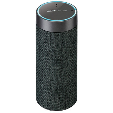 Portable Speaker Gray