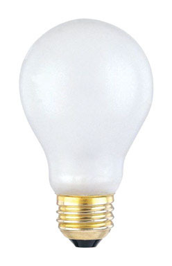 Incand Bulb A19 E26 100w