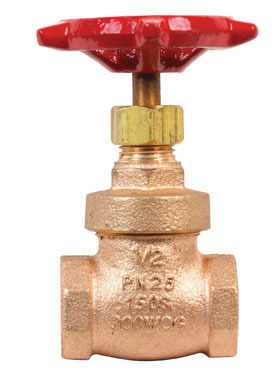 GATE VALVE BRONZE 1/2IPS