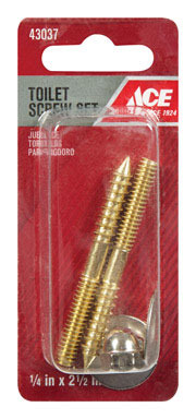 SCREW SET TOILET 2.5"STL