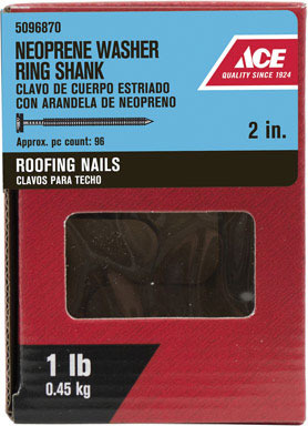 Ace Roof Nail2" Wshr1#