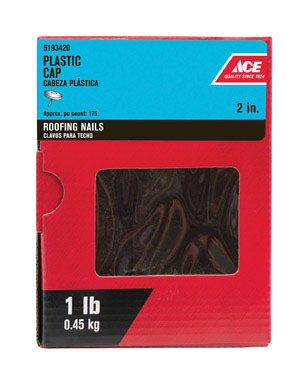 Ace Roof Cap Nail 2" 1#