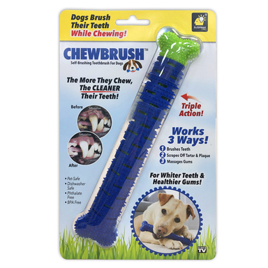 SELF BRSH TOOTH DOG 1PK