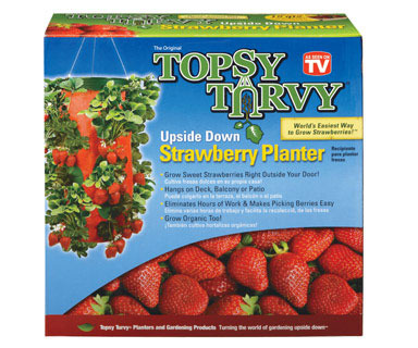 TOPSY TURVY STRAWBERRY