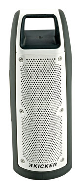 Bullfrog 100 Bt/fm Gray