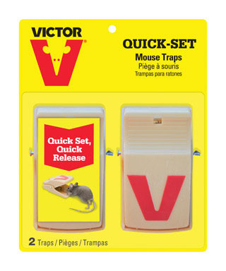 TRAP MOUSE QUICK SET 2PK