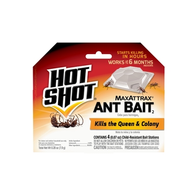 BAIT ANT MAXATTRAX 4CT