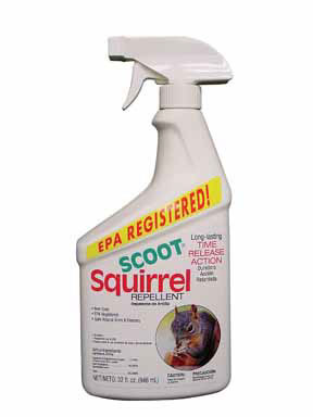 REPEL SCOOT SQUIRREL QT