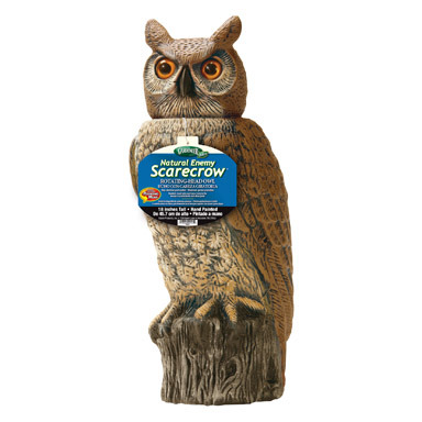 Ornamnt Owl 18"