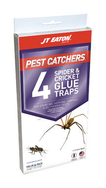 TRAP SPIDR & CRICKET 4PK