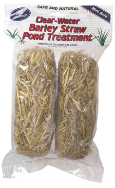 Straw Barley Pond Trt2pk