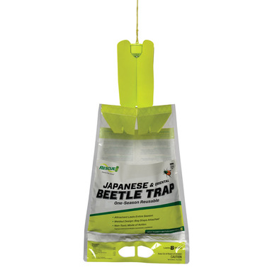 Japanese Beetle Trap
