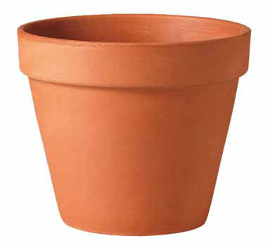 Terra Cotta Pot 14"