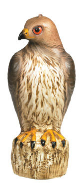 Bird-b-gone Hawk Decoy