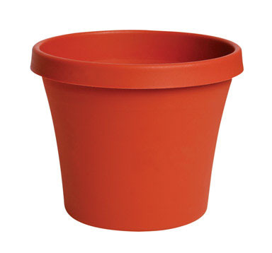 TERRAPOT TRCOT 6"