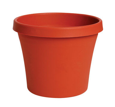 TERRAPOT TRCOT  8"