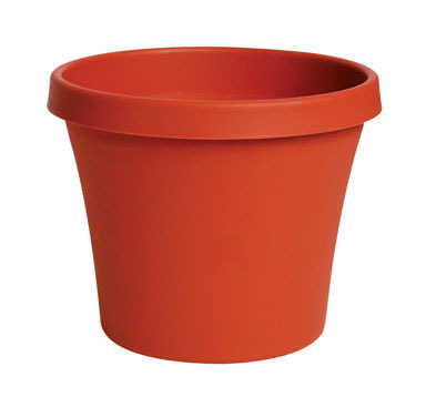 TERRAPOT TRCOT 12"