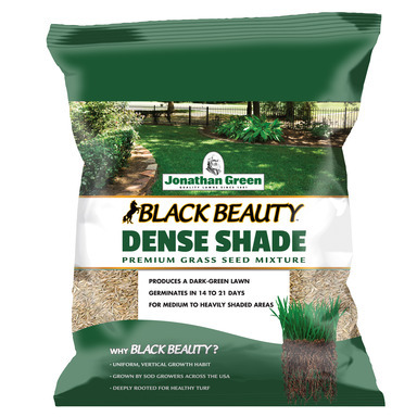 Dense Shade Grs Seed 3#