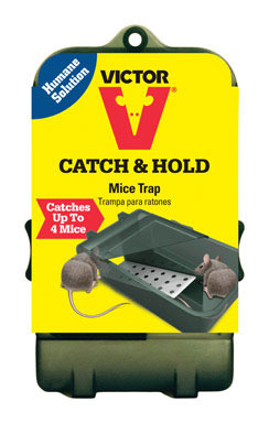 Mouse Trap Multi Catch