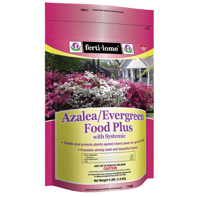 AZALEA EVERGREEN FOOD4LB