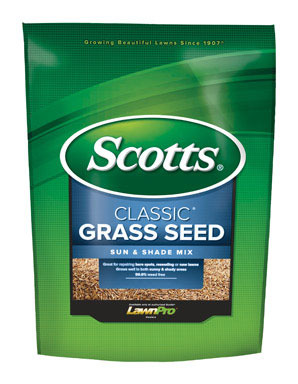 Classic Sun&shd Seed 20#