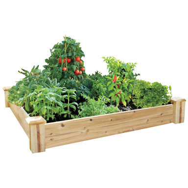 CEDAR RAISED GARDEN KIT