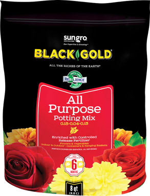 Bg Ap Potting Soil 8qt