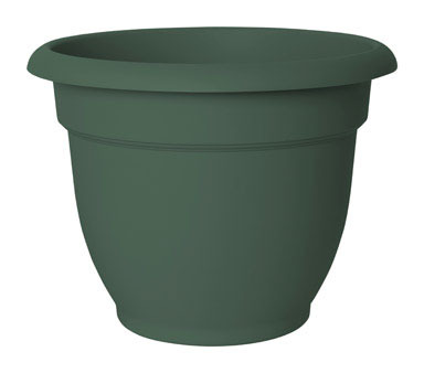 ARIANA POT LIV GREEN 6"