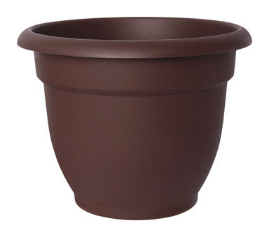 ARIANA POT CHOC 6"