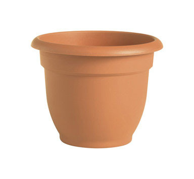 ARIANA POT TRCOT 10"