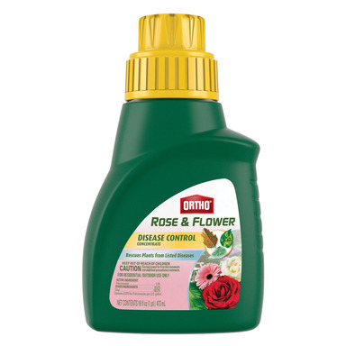 Rose&flr Dis Ctl16oz Con