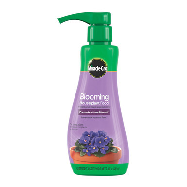 Blooming Houseplt Fd 8oz