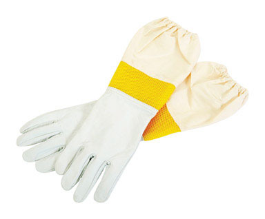 Bee Gloves Lg