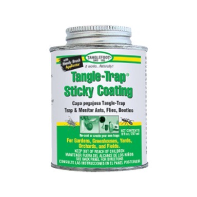 INSECT TRAP COATING 8OZ